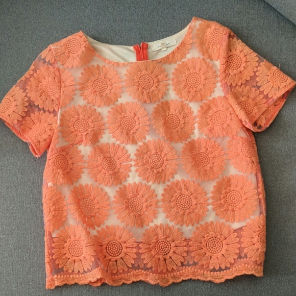 Orange Crop Top - Picture 3 of 3